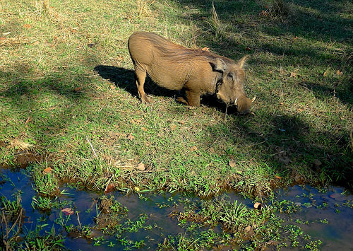 afarm8.staticflickr.com_7145_6406393133_5b25afaf5a.jpg