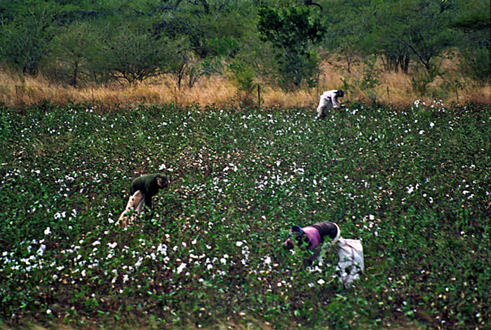 astatic.panoramio.com_photos_original_6382347.jpg