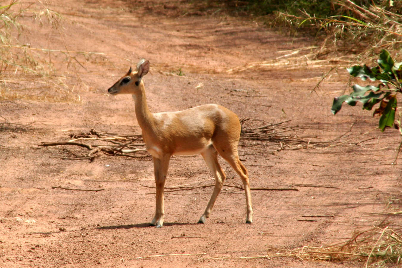 astatic.panoramio.com_photos_original_17582429.jpg