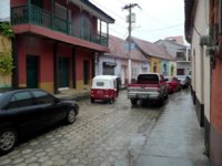 flores (7).JPG