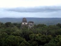 TRIP 473.JPG