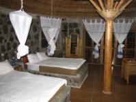 Paradise lodge room.jpg