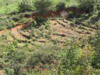 Konso fields.jpg