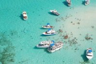 amedia_cdn.tripadvisor.com_media_photo_s_00_13_b2_f1_stingray_sandbar.jpg