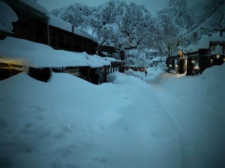 ai530.photobucket.com_albums_dd344_kostas2004thes_elati2.jpg