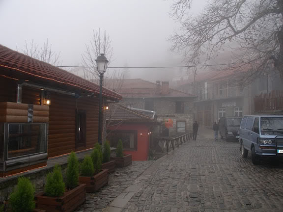 ai970.photobucket.com_albums_ae190_dimosf_2009__20IOANNINA_DSC04814.jpg