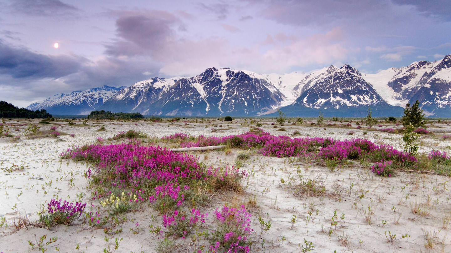 awallpapers5.com_images_wallpapers_66731060_Travel_Moonrise_St_Elias_Mountains_Alaska.jpg