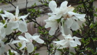 DSC09130.JPG