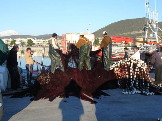 ai1249.photobucket.com_albums_hh506_dimosf2_2012_20KAMBIA_ARTAKI_203_3_DSC06034.jpg