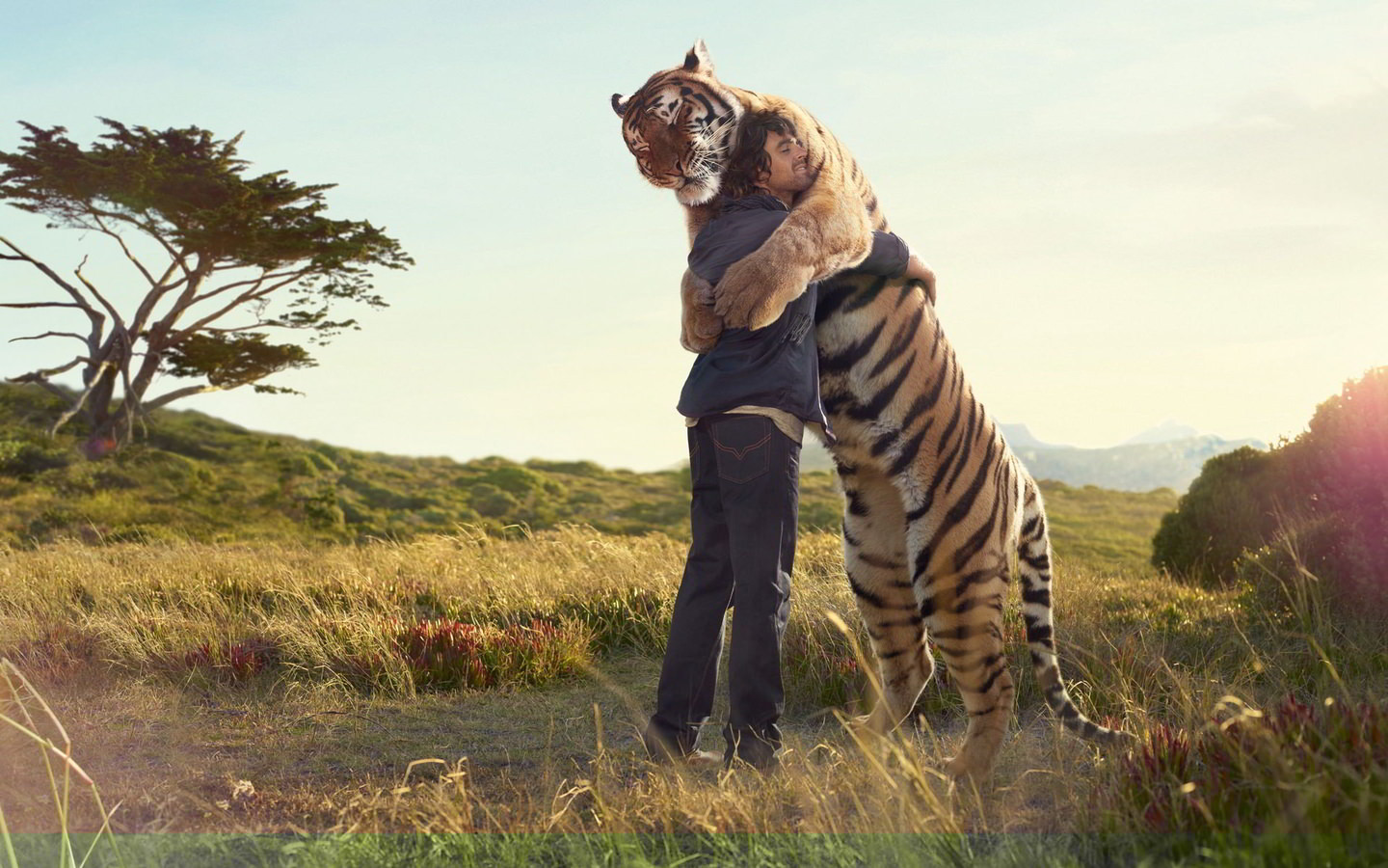 awww.mrwallpaper.com_wallpapers_man_tiger_hug.jpg