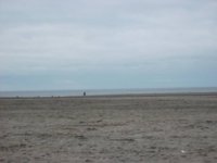 DSCF1797.jpg