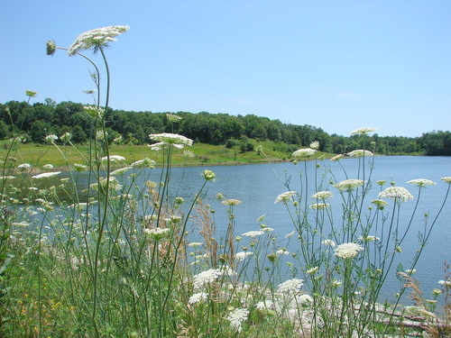 amw2.google.com_mw_panoramio_photos_medium_8724618.jpg