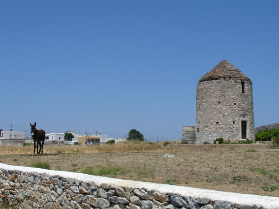 ai1249.photobucket.com_albums_hh506_dimosf2_2012_20_20NAXOS_DSC07987.jpg