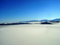 DSC00320.JPG