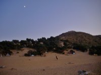 IMG_0164.JPG