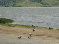 ai970.photobucket.com_albums_ae190_dimosf_2012_20WESTERN_20MAKEDONIA_DSC07370.jpg