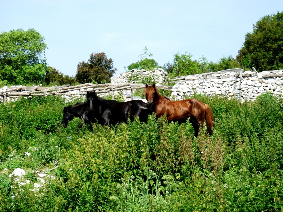 to archontiko guest house villa_3.jpg
