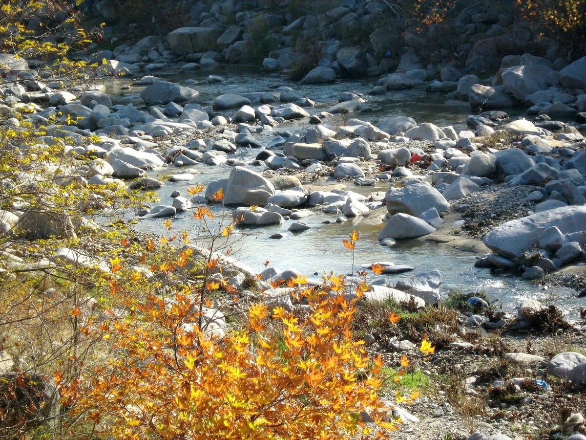 river side.jpg