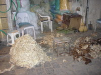 DSCN1864.JPG