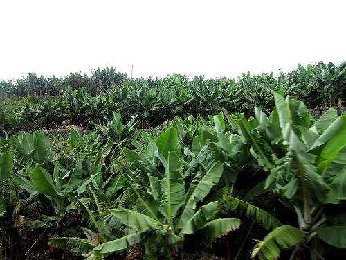 afarm9.staticflickr.com_8031_8049841551_43f94ce8f7.jpg afarm9.staticflickr.com_8031_8049841551_43f94ce8f7.jpg