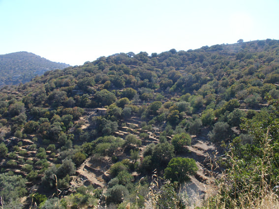 ai1249.photobucket.com_albums_hh506_dimosf2_2012_20KEA_DSC00100.jpg