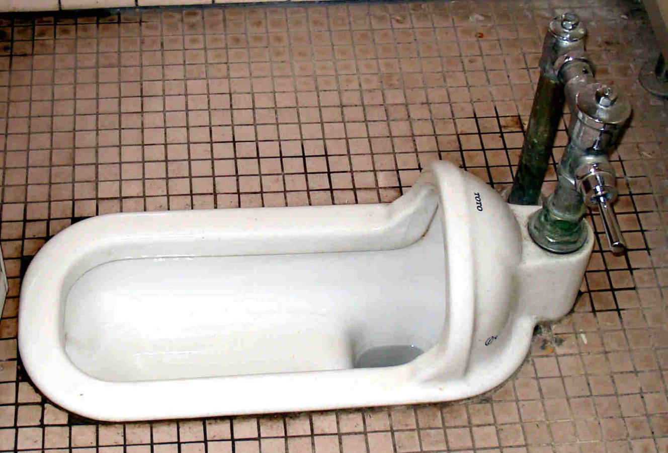 awww.laylalanemusic.com_wp_wp_content_uploads_2010_04_japanese_style_toilet.jpg