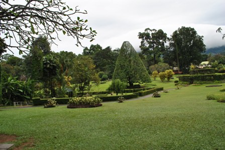 Peradeniya 2 (1).JPG