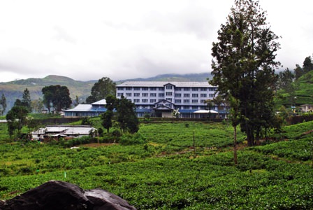 Tea Factory.JPG