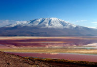 laguna colorada2.jpg