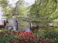 a0.tqn.com_d_cruises_1_0_z_T_5_Keukenhof18.JPG