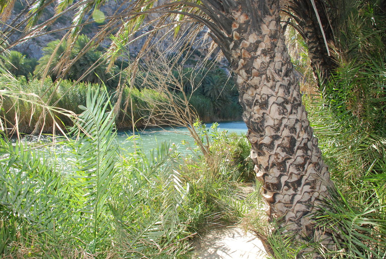 DSC_0477.JPG
