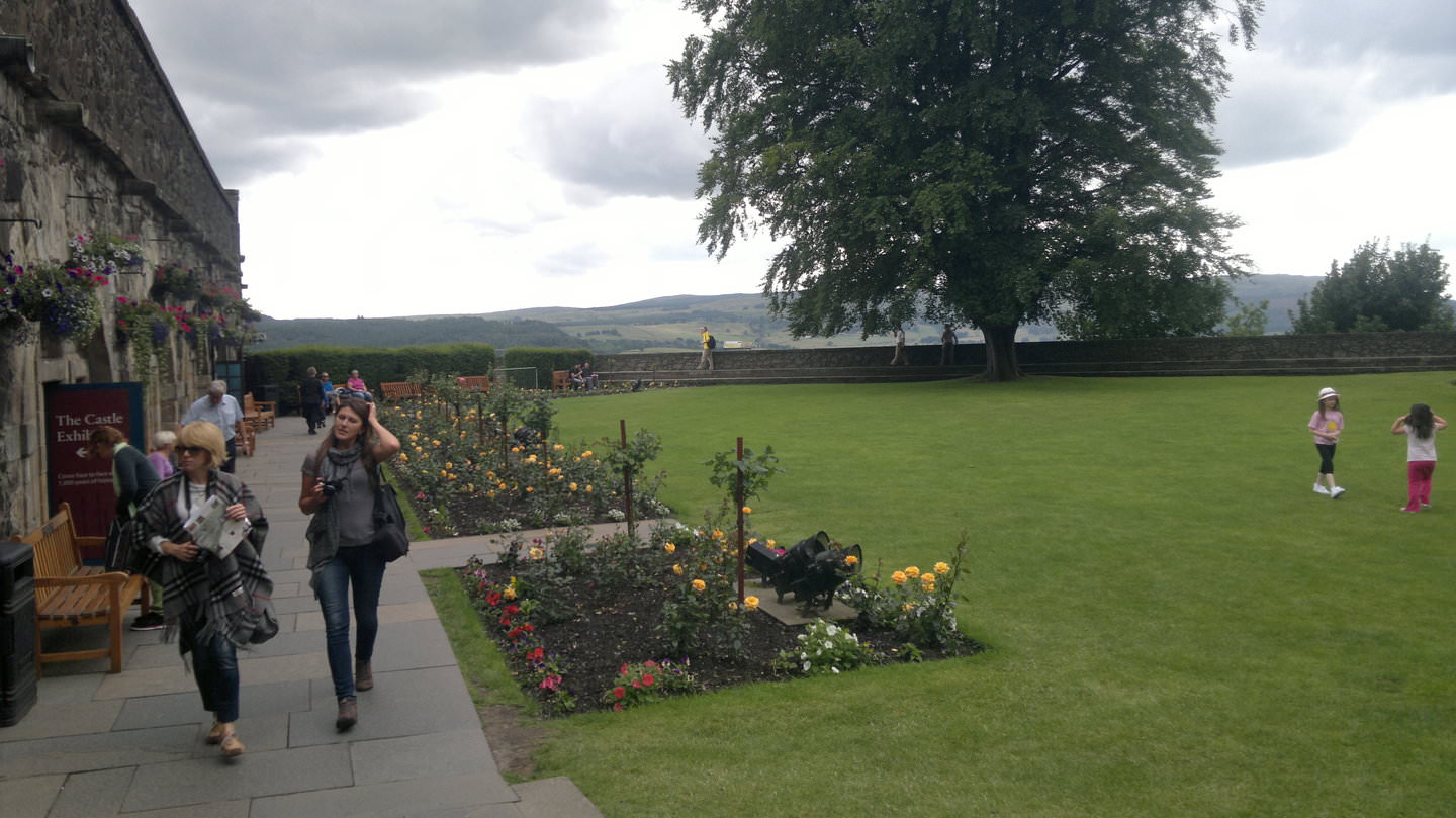 2013-08-02-1066.jpg
