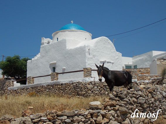 ai970.photobucket.com_albums_ae190_dimosf_2013_20SIFNOS_DSCN7204_zpsa05a053e.jpg