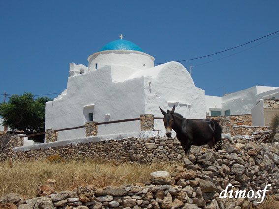 ai970.photobucket.com_albums_ae190_dimosf_2013_20SIFNOS_DSCN7204_zpsa05a053e.jpg