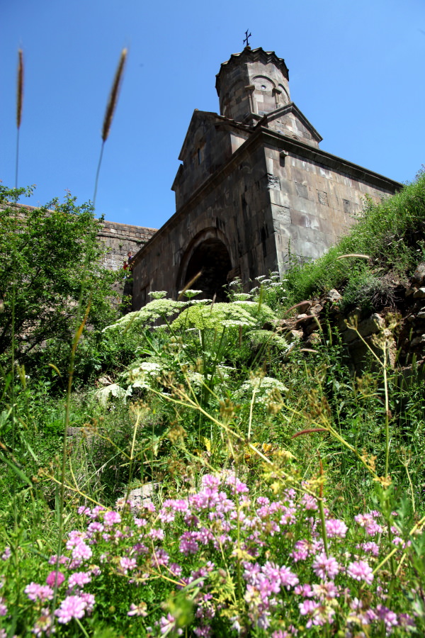 georgia_1446a.JPG