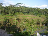 P1080085.JPG