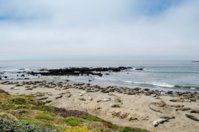 _DSC4936.jpg