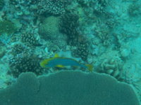 DSCN0524.JPG