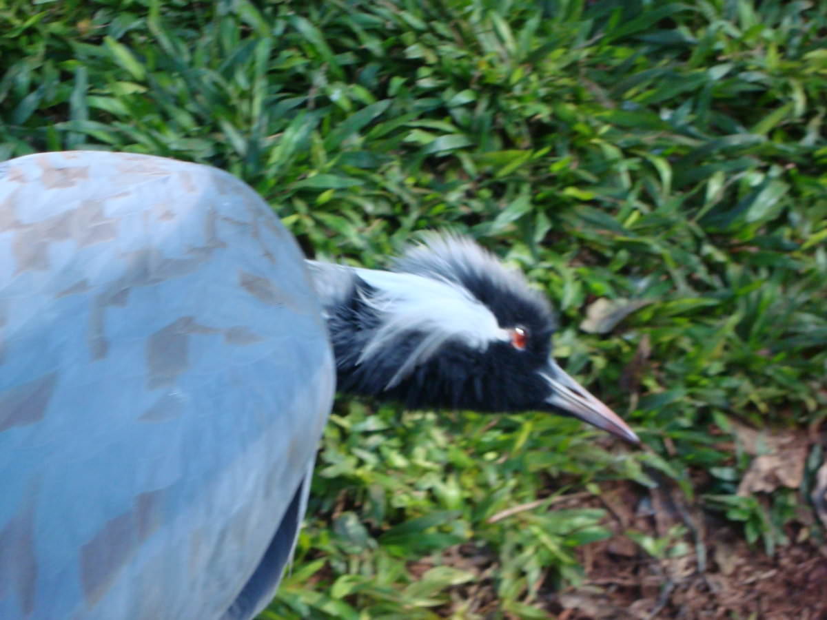 DSC03992.JPG