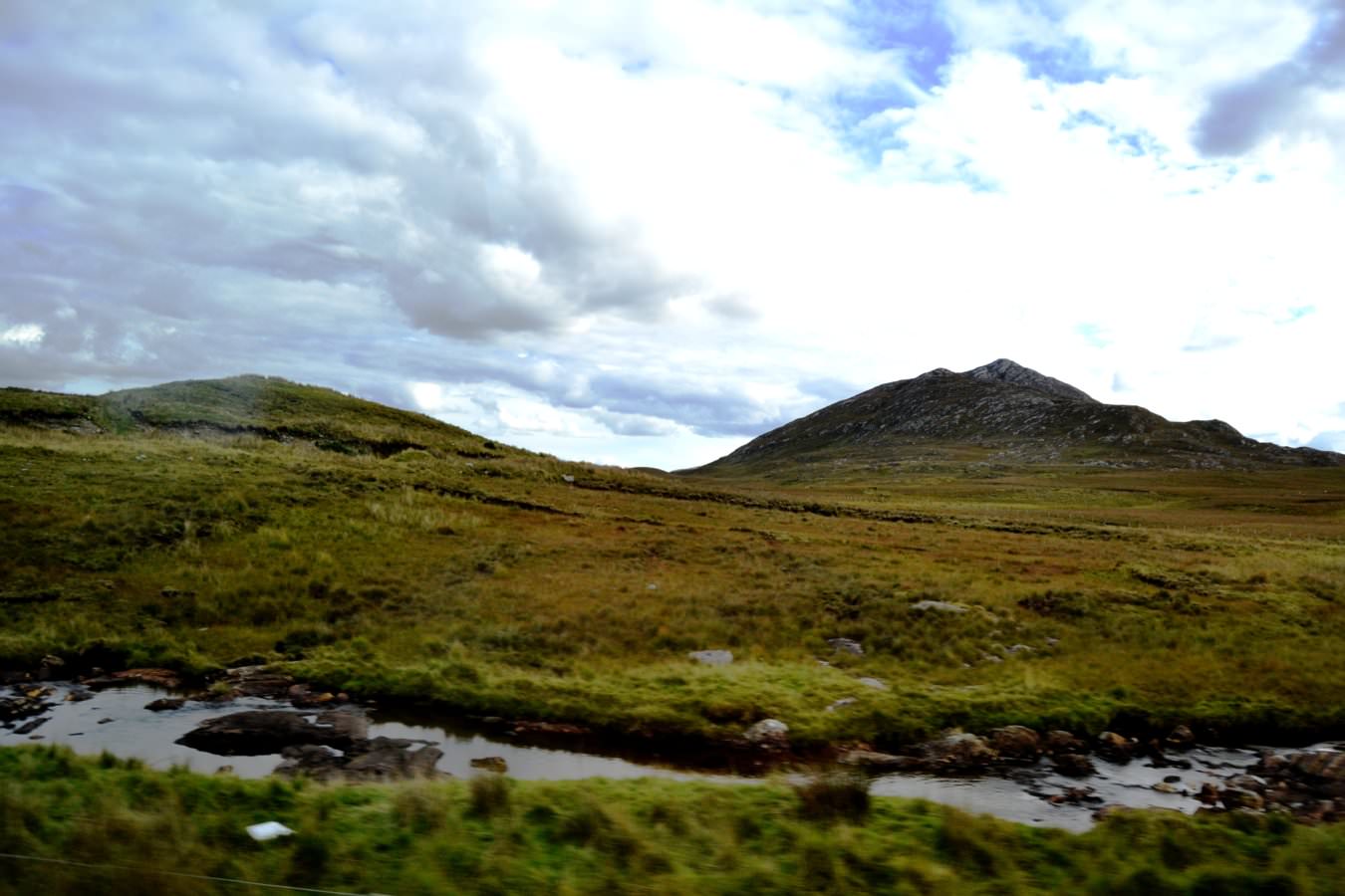 DSC_0241.JPG