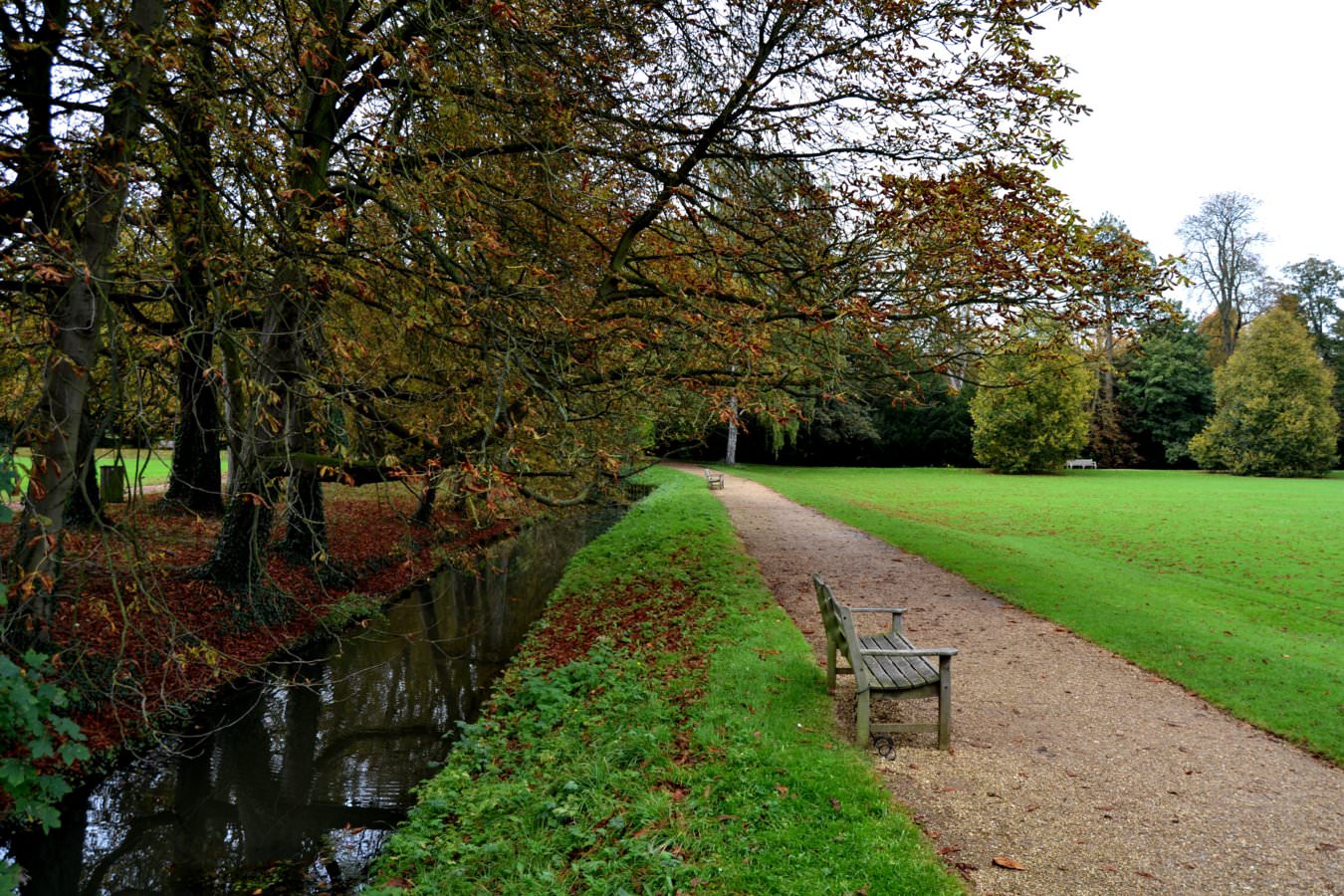 DSC_0400.JPG