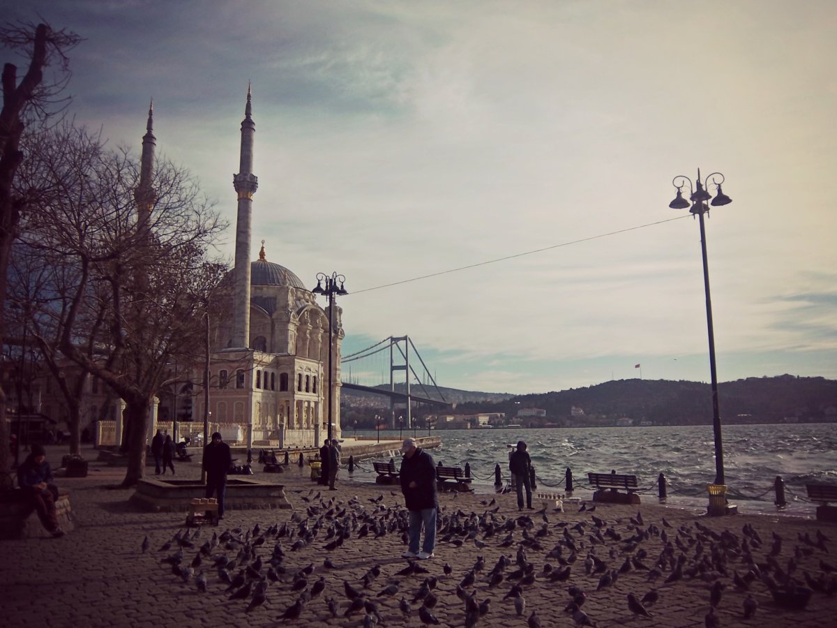 100_3978.jpg