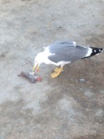 IMG_3983.JPG IMG_3983.JPG