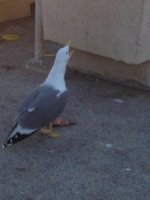 IMG_3992.JPG IMG_3992.JPG