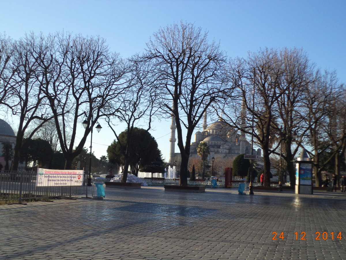 DSC00822.JPG
