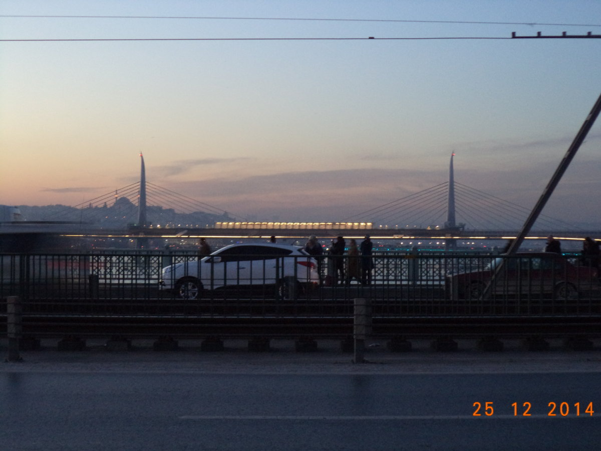 DSC01217.JPG