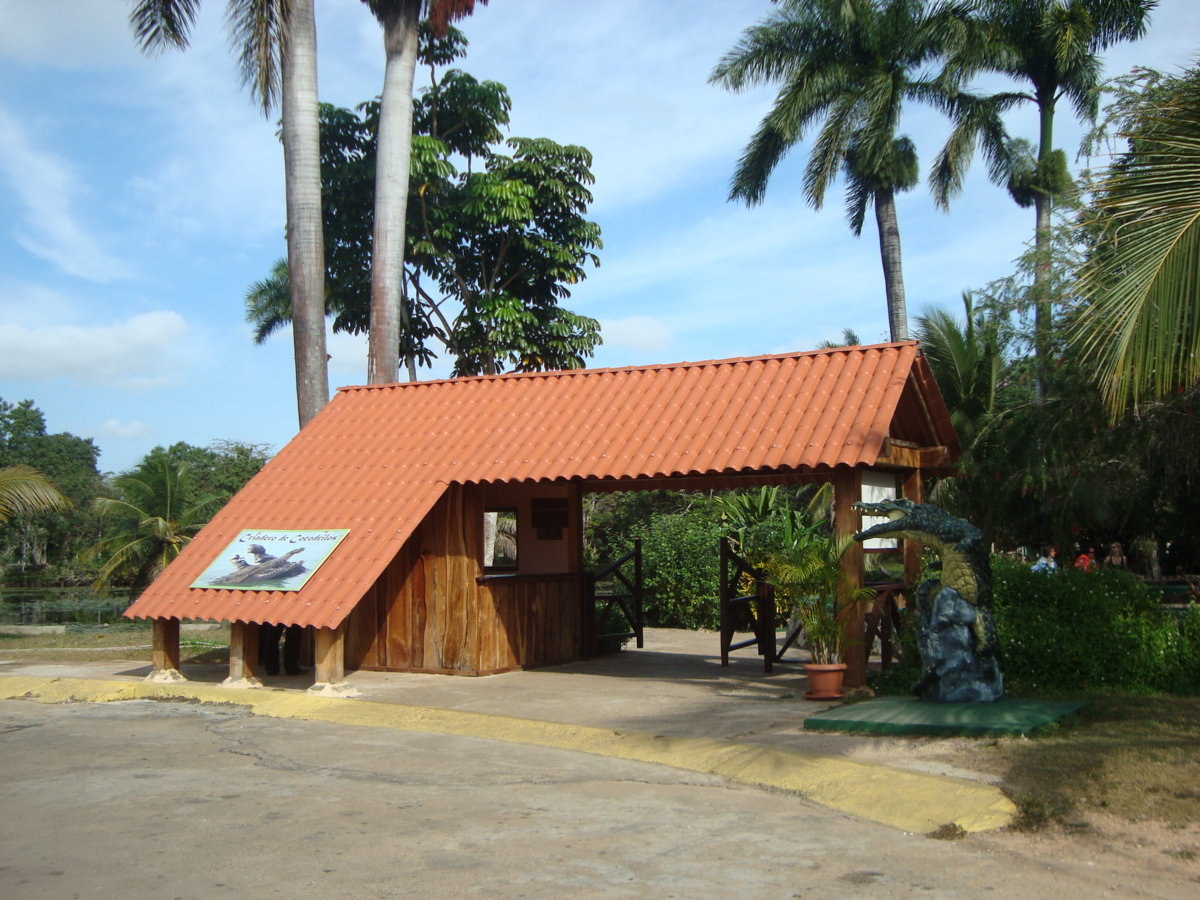DSC07252.JPG