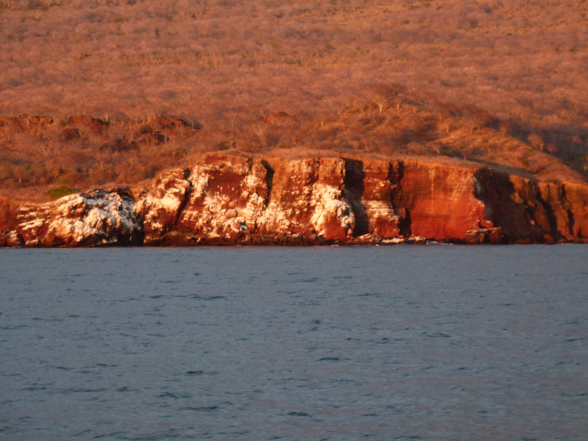 P1010374.JPG