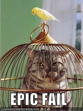 Funny-pictures-bird-cat-cage.jpg