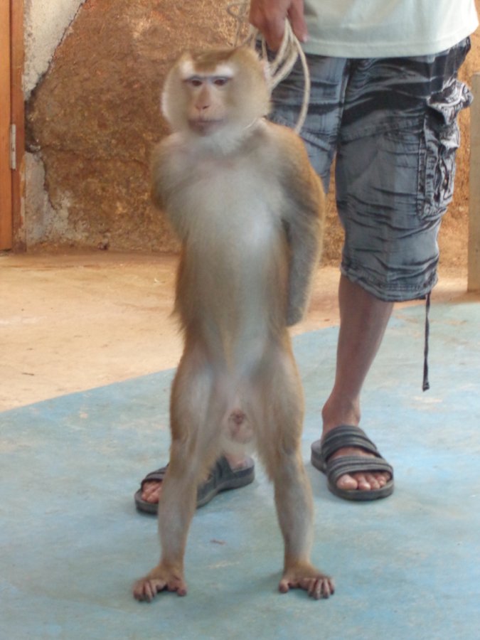 DSC03114.jpg